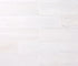 Bianco Dolomite Polished Wall and Floor Tile 6"X12"